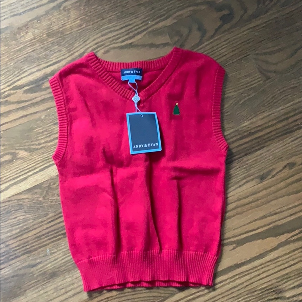 Christmas vest